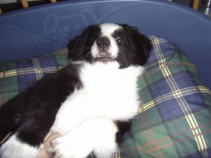 BenBravery02 057.jpg